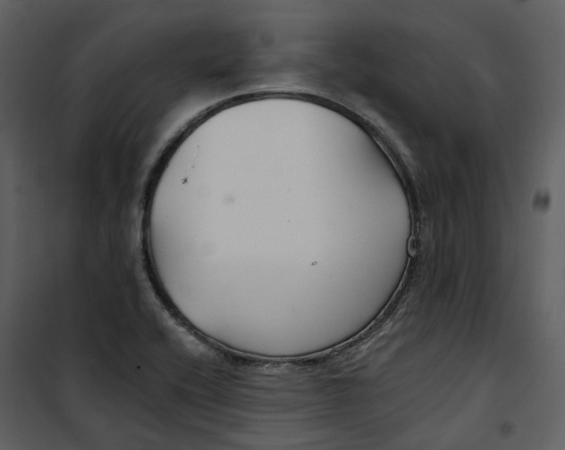 X0000100751416200807171400