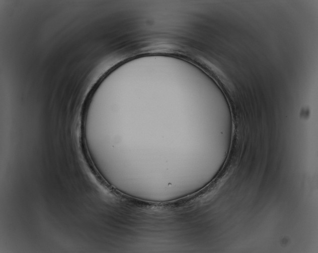 X0000100751418200807171400