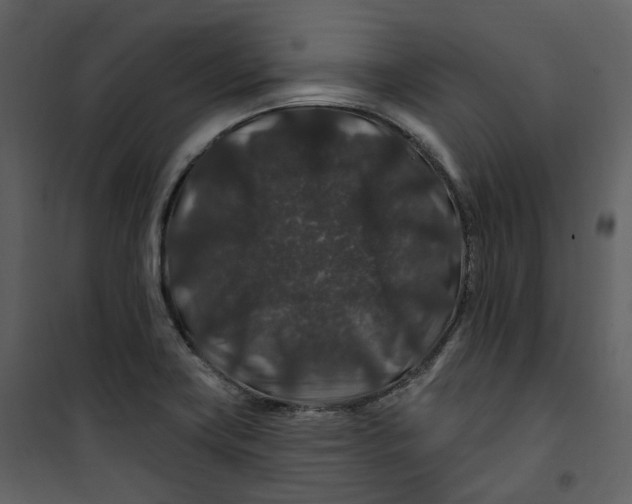 X0000100751419200807171400