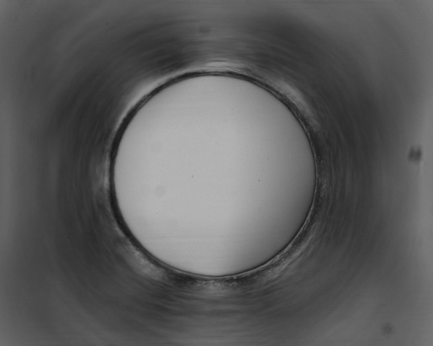 X0000100751420200807171400