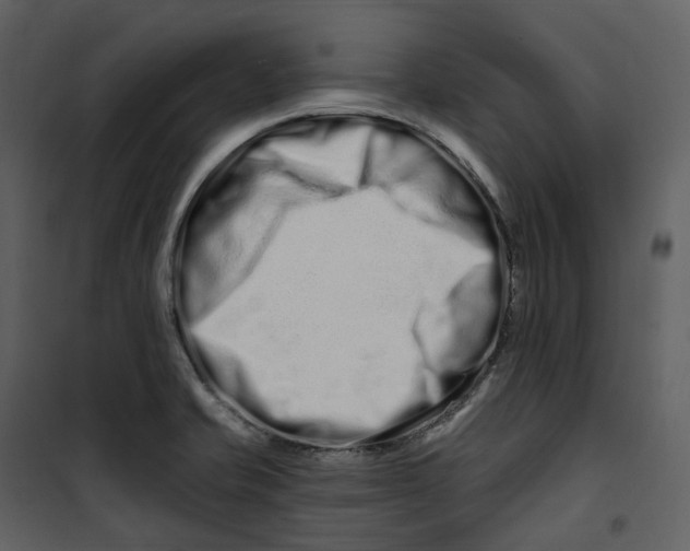 X0000100751421200807171400