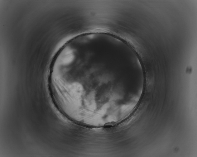 X0000100751422200807171400