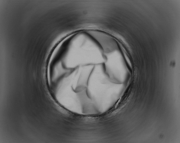 X0000100751424200807171400