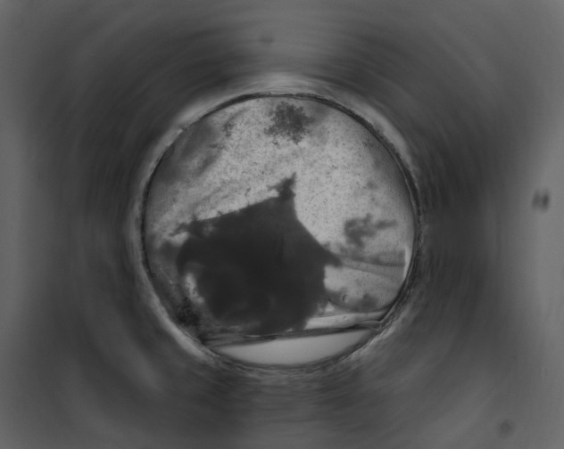 X0000100751429200807171401