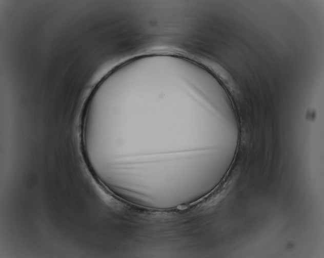 X0000100751430200807171401