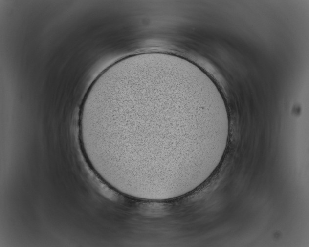 X0000100751431200807171401