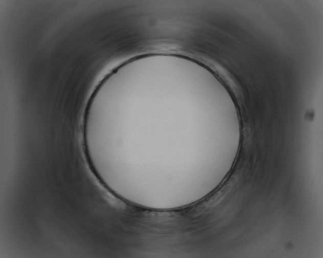 X0000100751432200807171401