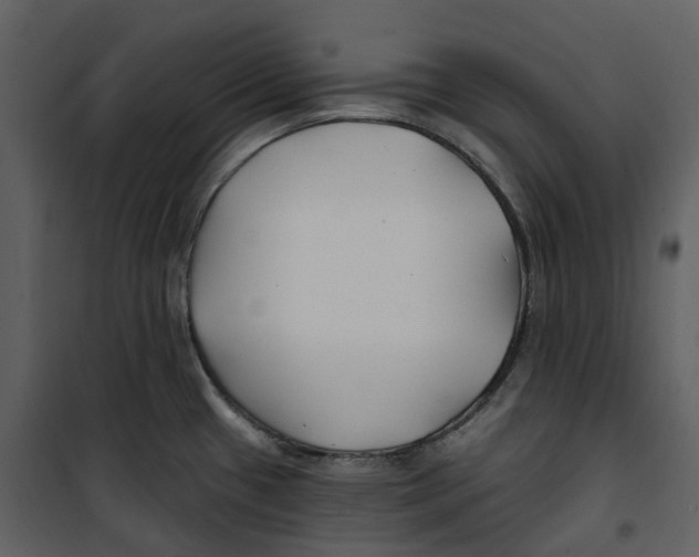 X0000100751433200807171401