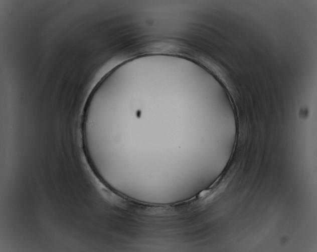 X0000100751434200807171401