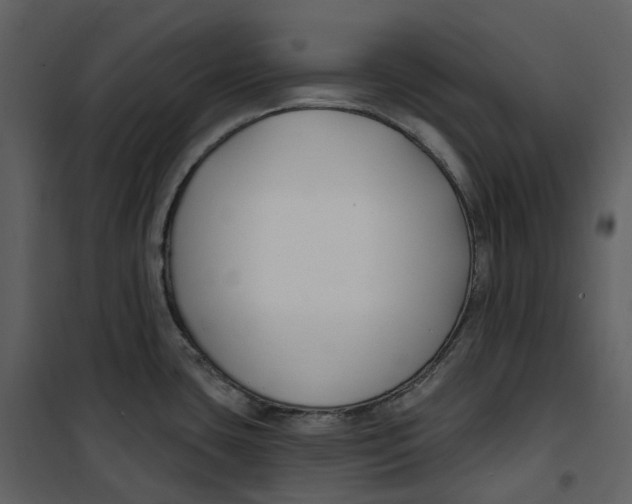 X0000100751435200807171401