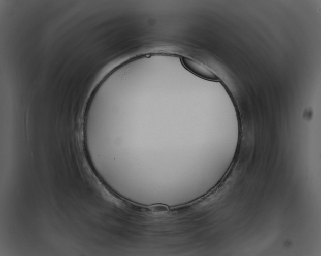 X0000100751436200807171401