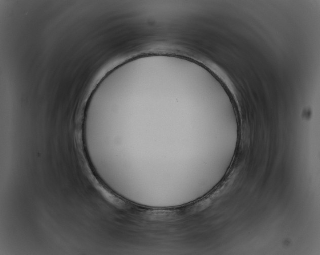 X0000100751437200807171401