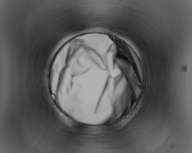 X0000100751438200807171401