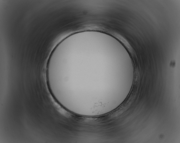 X0000100751439200807171401