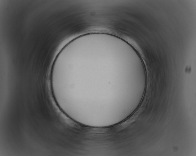 X0000100751440200807171401