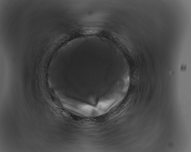 X0000100751441200807171400