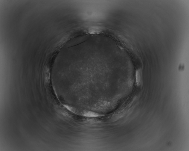 X0000100751443200807171400