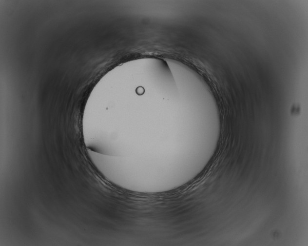 X0000100751444200807171400