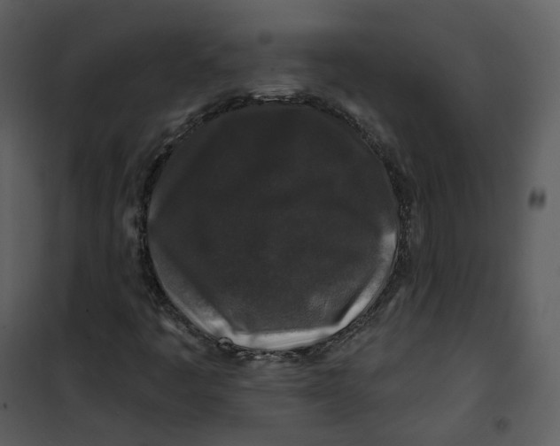 X0000100751445200807171400