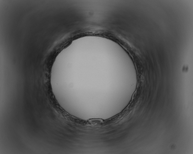 X0000100751447200807171400