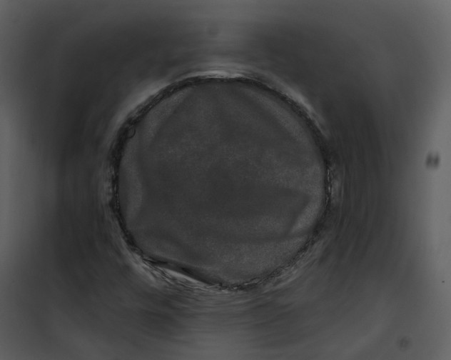 X0000100751448200807171400