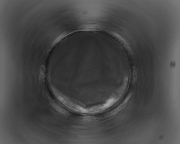 X0000100751449200807171400