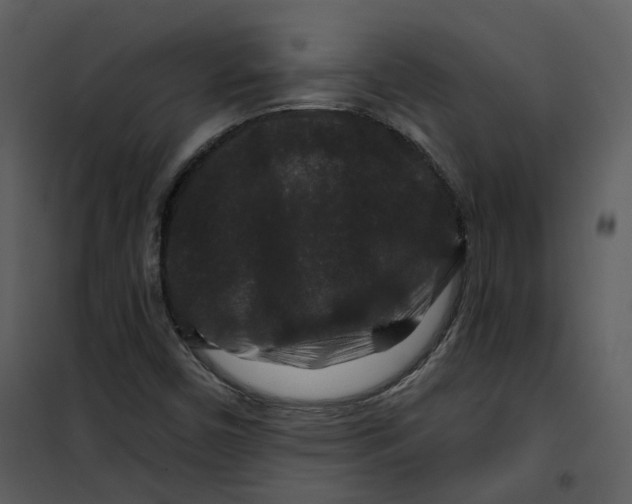 X0000100751450200807171400