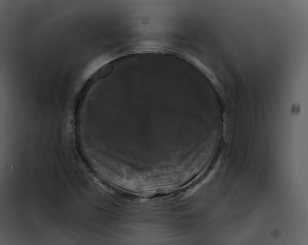 X0000100751453200807171400