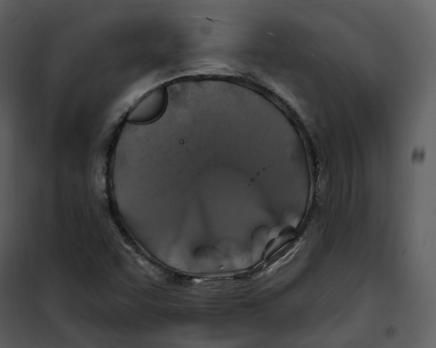 X0000100751455200807171400