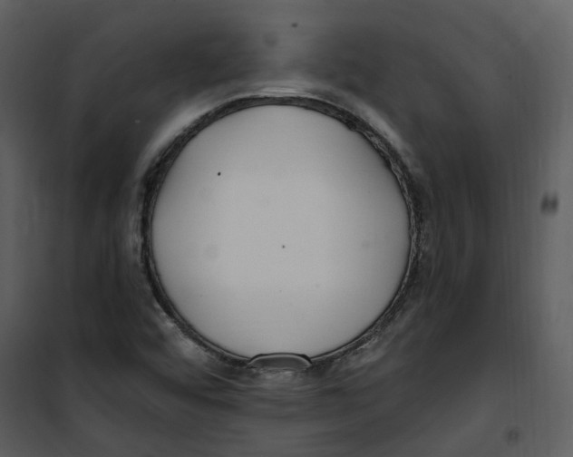 X0000100751456200807171400