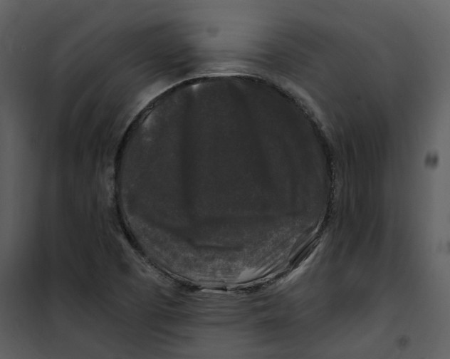 X0000100751457200807171400