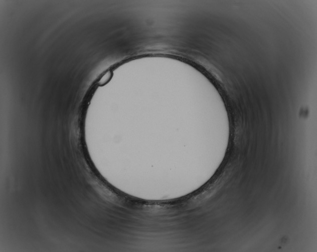 X0000100751458200807171400