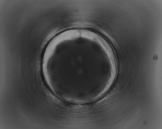 X0000100751459200807171400