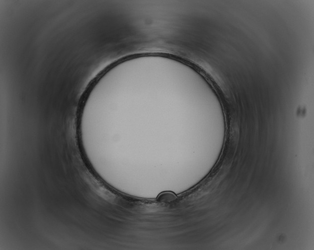 X0000100751460200807171400