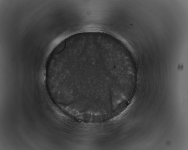 X0000100751461200807171400