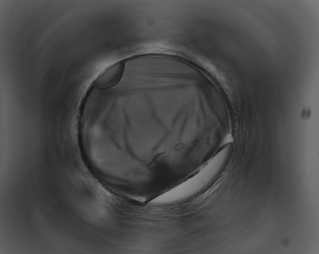 X0000100751463200807171400