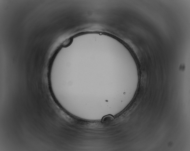 X0000100751464200807171400