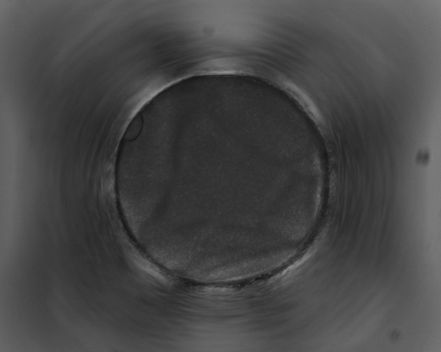 X0000100751465200807171400