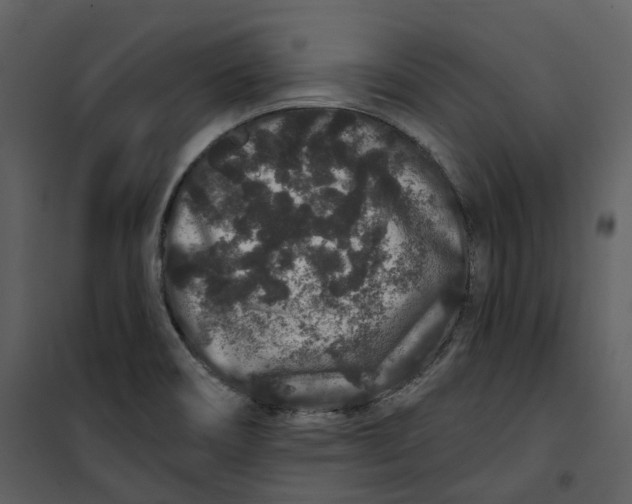 X0000100751466200807171400