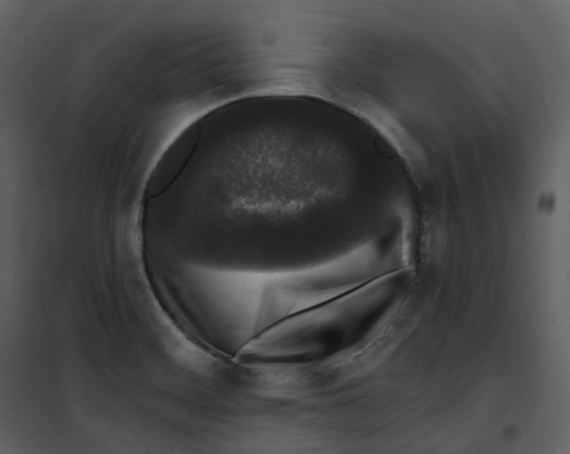 X0000100751468200807171400