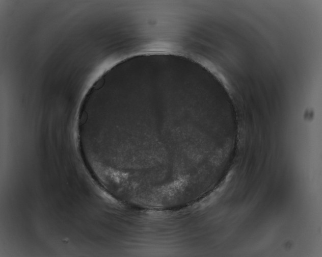 X0000100751469200807171400