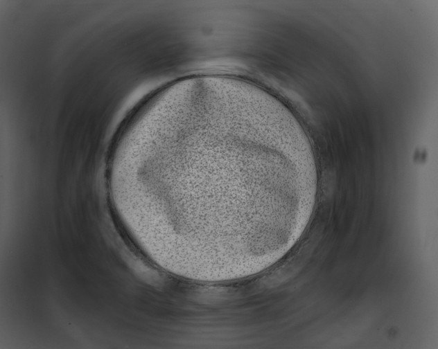 X0000100751470200807171400