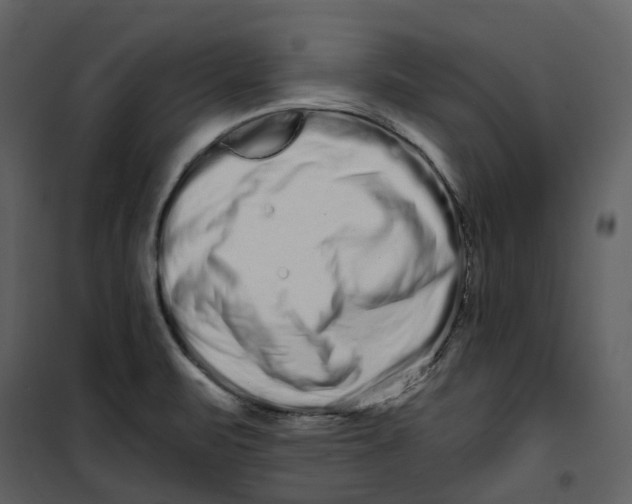 X0000100751471200807171400