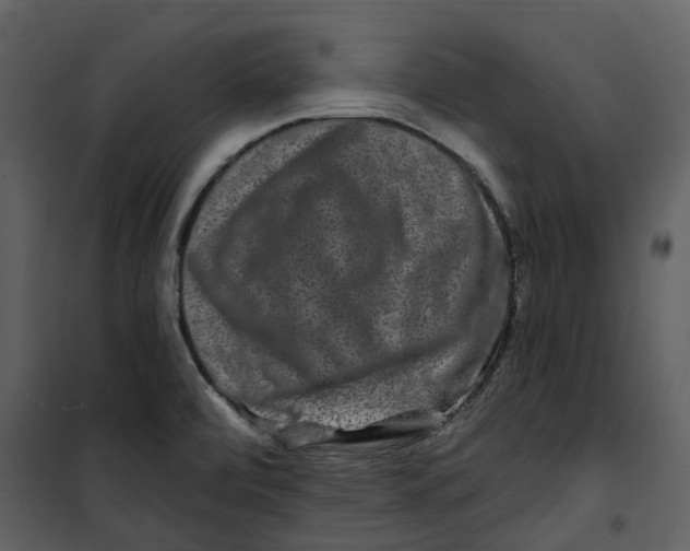 X0000100751472200807171400