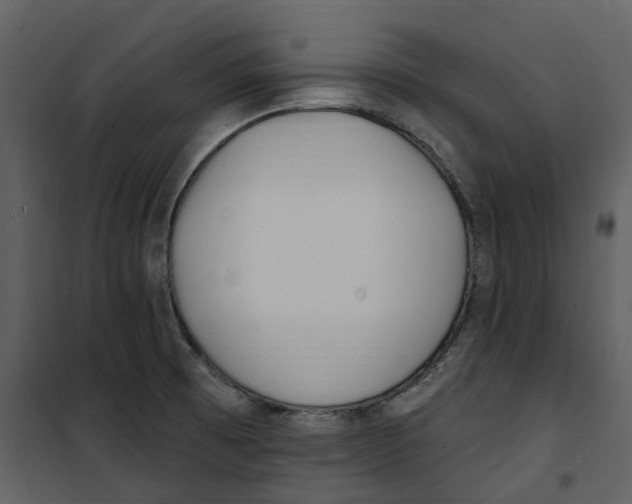 X0000100751473200807171400