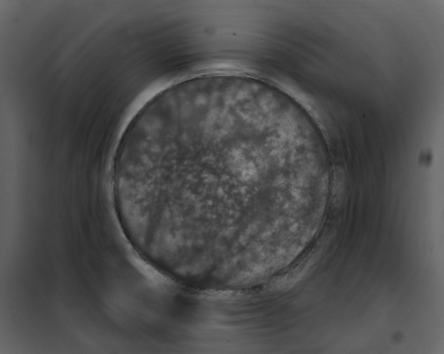 X0000100751474200807171400