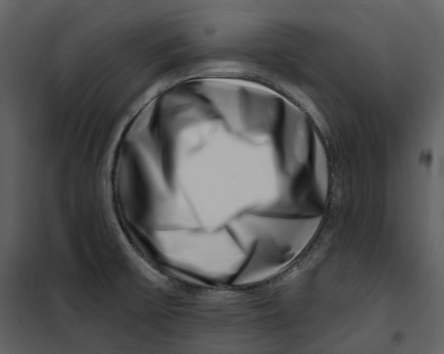 X0000100751475200807171400