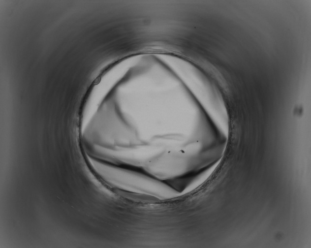 X0000100751476200807171400