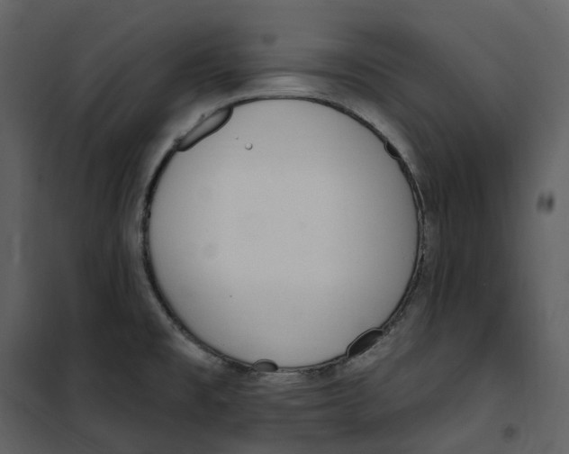 X0000100751477200807171359