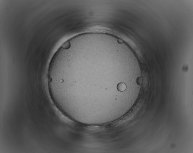 X0000100751478200807171359